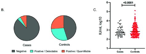 p quant q quant|cmv dna detect quant p.